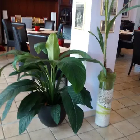 Hotel Attache